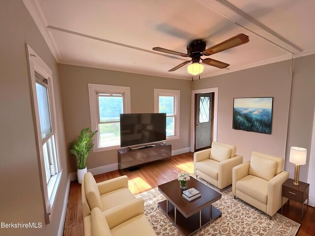 22 Marietta St, North Adams, MA 01247 - living room with wood finished floors, ornamental molding, and ceiling fan