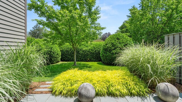 424 N Hemlock Ln, Williamstown, MA 01267 - photo 33
