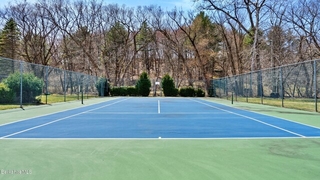 424 N Hemlock Ln, Williamstown, MA 01267 - photo 38