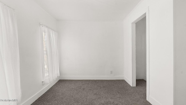 spare room with baseboards, carpet flooring, and crown molding
