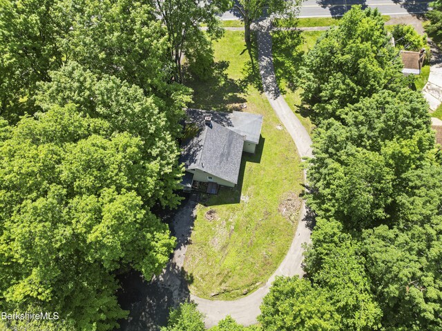 24 Lebanon Ave, Pittsfield, MA 01201 - photo 35