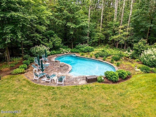 351 Adsit Crosby Rd, New Marlborough, MA 01244 - swimming pool with a yard, a patio area, and a forest view
