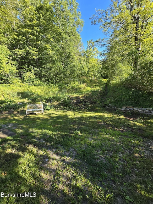 450 River Rd, Clarksburg, MA 01247 - photo 6