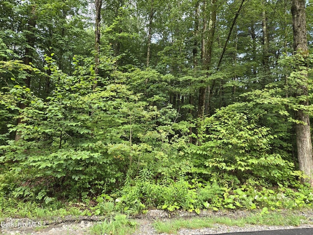 Wells Rd, Becket MA, 01223 land for sale