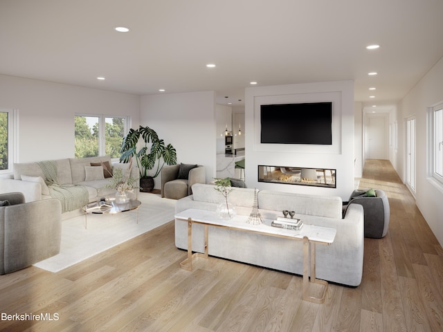 living room with light hardwood / wood-style floors