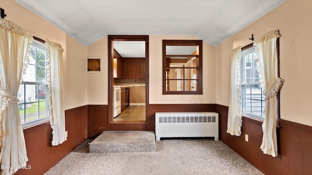 202 Park Ave, Dalton, MA 01226 - interior space with radiator, wainscoting, lofted ceiling, and carpet floors