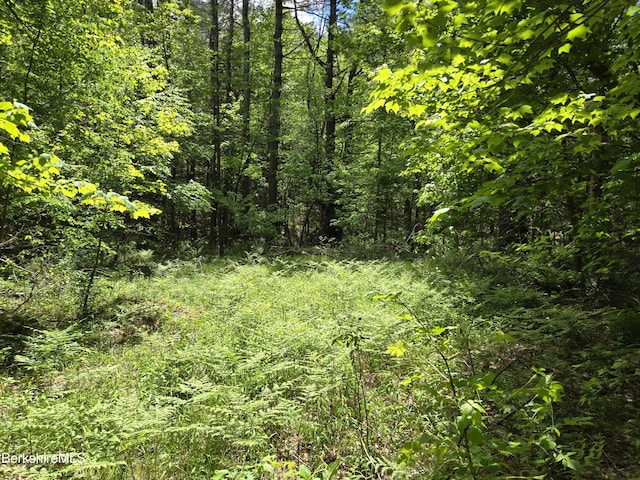 0 E Otis Rd, Otis, MA 01253