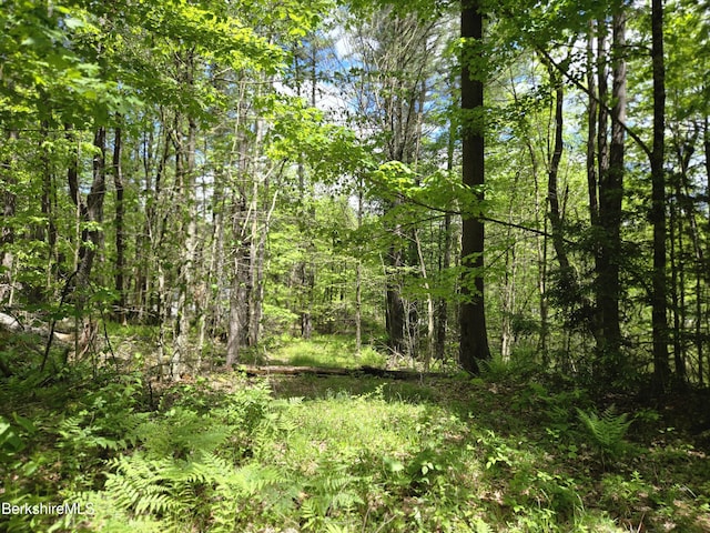 0 E Otis Rd, Otis, MA 01253
