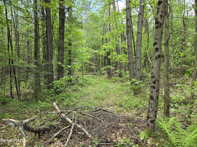 0 E Otis Rd, Otis, MA 01253
