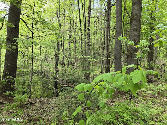 0 E Otis Rd, Otis, MA 01253