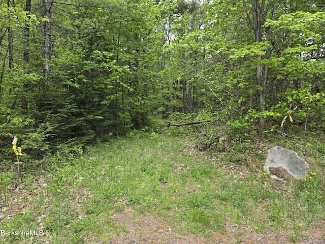 0 E Otis Rd, Otis, MA 01253