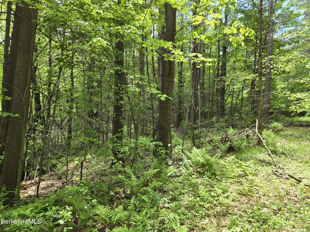 0 E Otis Rd, Otis, MA 01253