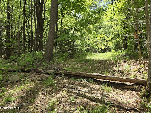 0 E Otis Rd, Otis, MA 01253