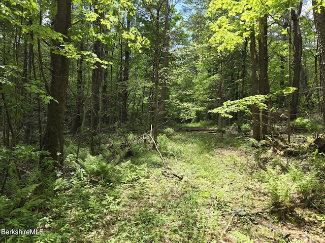 0 E Otis Rd, Otis, MA 01253