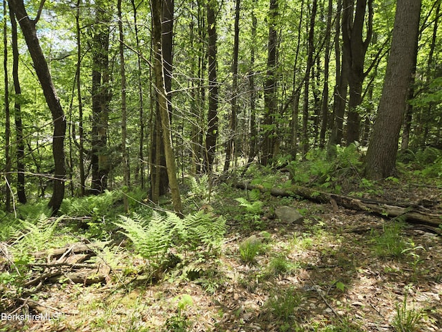 0 E Otis Rd, Otis, MA 01253