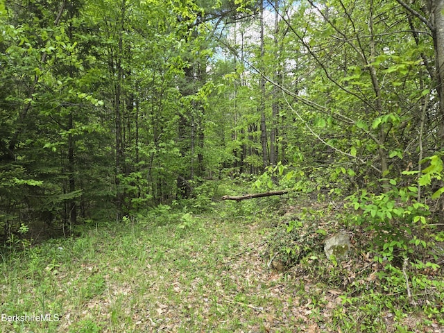 0 E Otis Rd, Otis, MA 01253