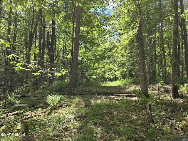0 E Otis Rd, Otis, MA 01253