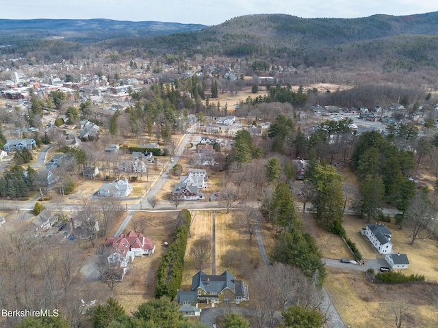 birds eye view of property with a mountain view