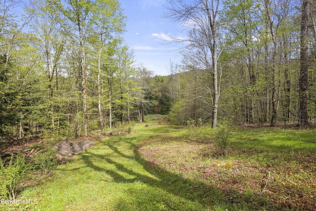 189 Cross Place Rd, Washington, MA 01223 - view of green lawn featuring a wooded view