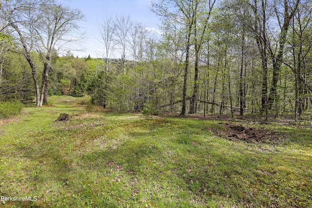 189 Cross Place Rd, Washington, MA 01223 - view of yard with a view of trees