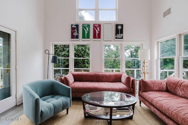 80 Taconic Ave # 14, Great Barrington, MA 01230 - living room featuring a towering ceiling, wood finished floors, and plenty of natural light