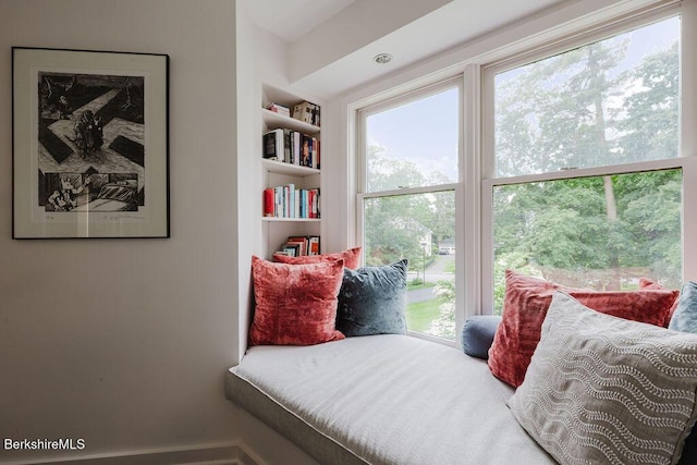 80 Taconic Ave # 14, Great Barrington, MA 01230 - living area featuring built in features