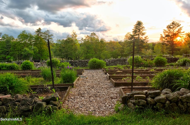 764 E Hill Rd, New Marlborough, MA 01230 - view of community featuring a vegetable garden