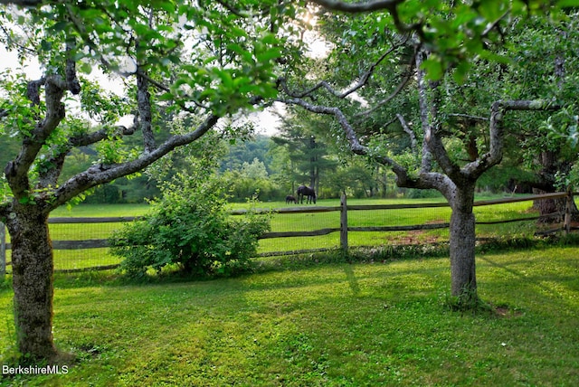 764 E Hill Rd, New Marlborough, MA 01230 - view of yard