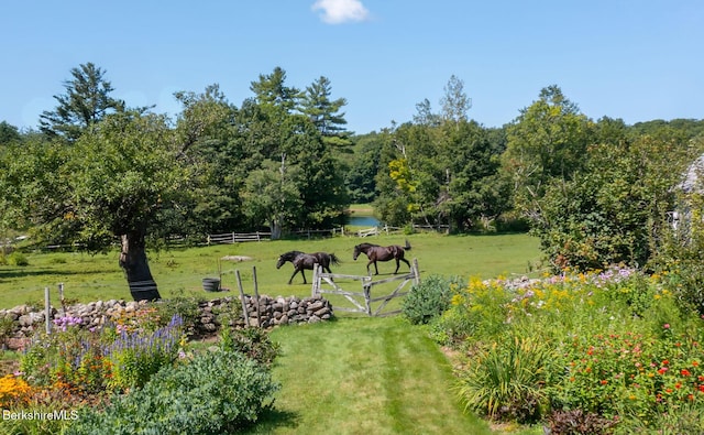 764 E Hill Rd, New Marlborough, MA 01230 - view of yard with a view of rural / pastoral area