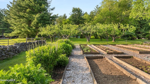 764 E Hill Rd, New Marlborough, MA 01230 - view of yard with a vegetable garden