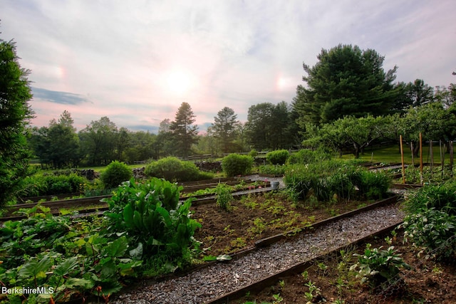 764 E Hill Rd, New Marlborough, MA 01230 - yard at dusk featuring a vegetable garden and view of scattered trees