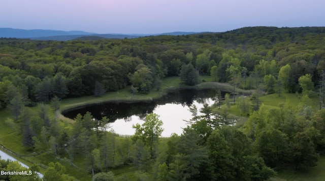 764 E Hill Rd, New Marlborough, MA 01230 - view of property location with a nearby body of water