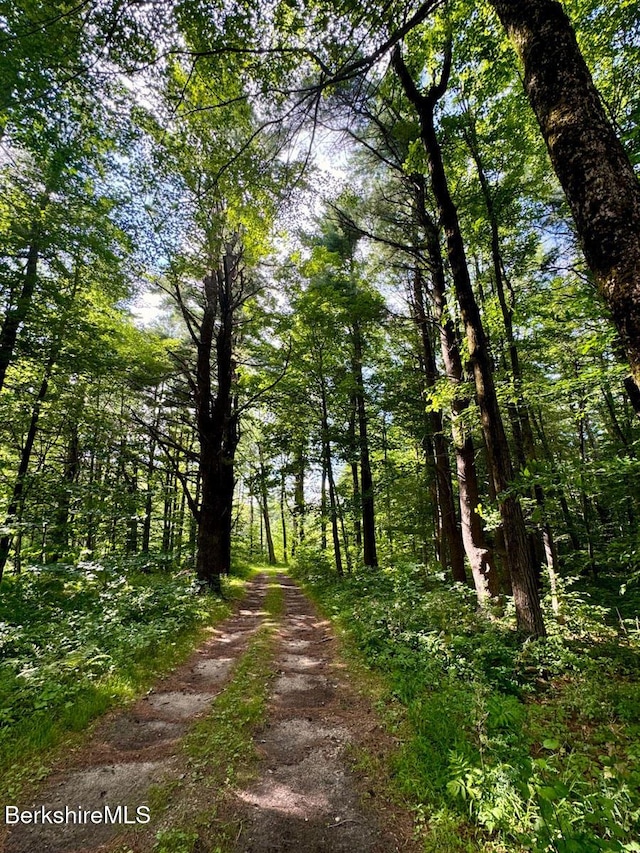 764 E Hill Rd, New Marlborough, MA 01230 - view of dirt / gravel road with a forest view