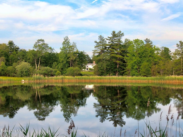 764 E Hill Rd, New Marlborough, MA 01230 - water view with a forest
