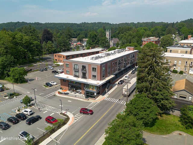 34 Bridge St, Great Barrington, MA 01230 - bird's eye view of a heavily wooded area
