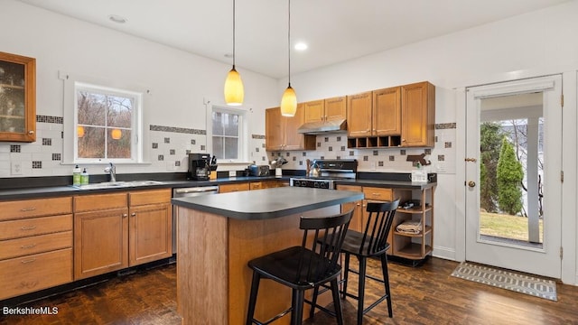 kitchen featuring under cabinet range hood, a sink, dark countertops, stainless steel appliances, and recessed lighting