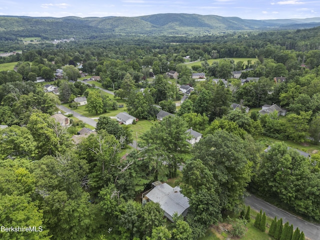 100 Cummings Ave, Pittsfield, MA 01201 - photo 40