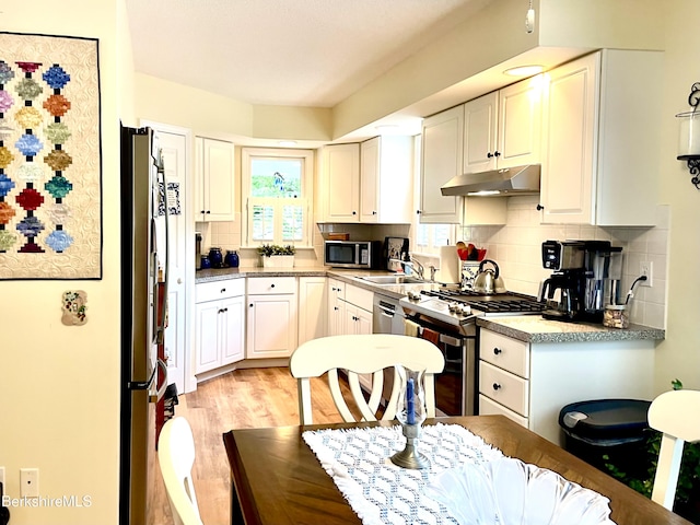 50 Walden Ln, Pittsfield, MA 01201 - kitchen with appliances with stainless steel finishes, under cabinet range hood, light wood-style floors, backsplash, and white cabinets