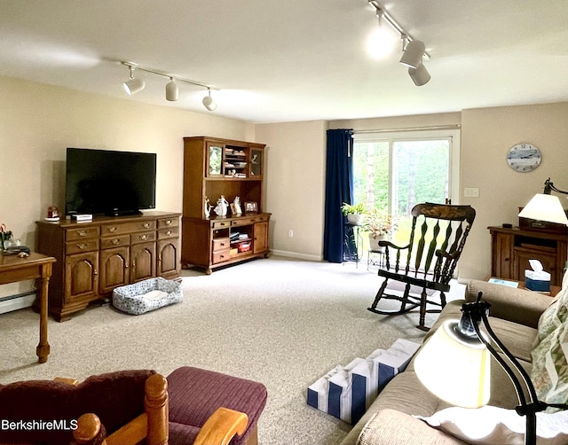 50 Walden Ln, Pittsfield, MA 01201 - living area featuring rail lighting and light carpet
