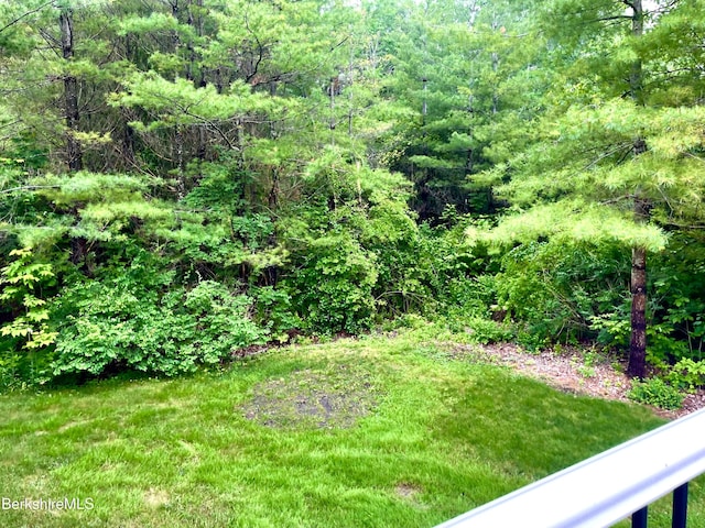 50 Walden Ln, Pittsfield, MA 01201 - view of grassy yard with a forest view