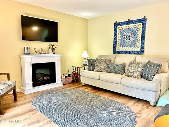 50 Walden Ln, Pittsfield, MA 01201 - living area with wood finished floors and a glass covered fireplace