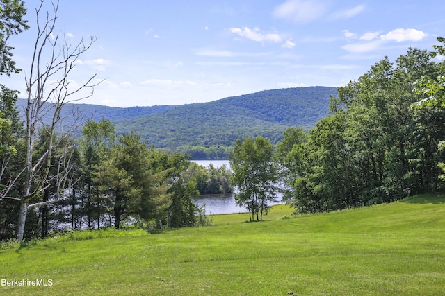 329 Lanesboro Rd, Cheshire, MA 01225 - photo 44