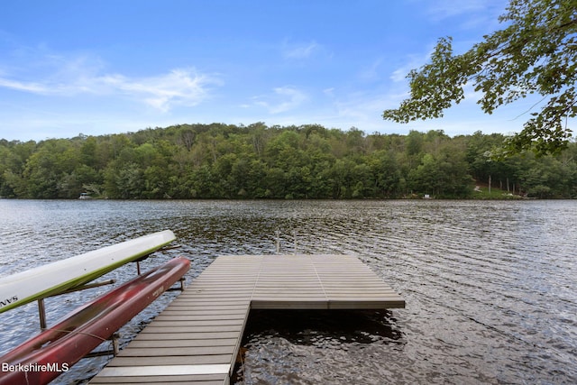 138 Mystic Isle Way, Becket, MA 01223 - photo 2