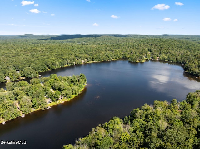 138 Mystic Isle Way, Becket, MA 01223 - photo 60
