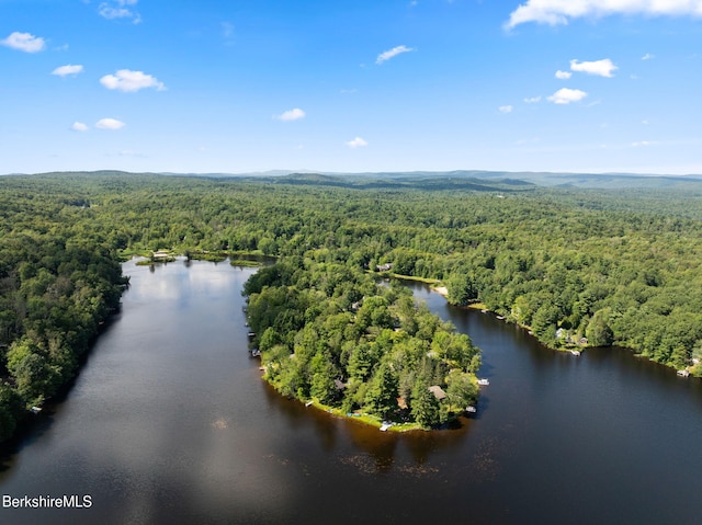 138 Mystic Isle Way, Becket, MA 01223 - photo 7