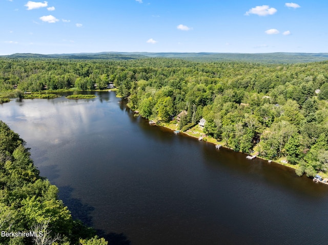 138 Mystic Isle Way, Becket, MA 01223 - photo 59