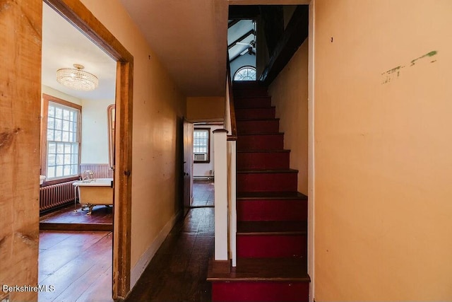 hall with dark hardwood / wood-style floors and radiator