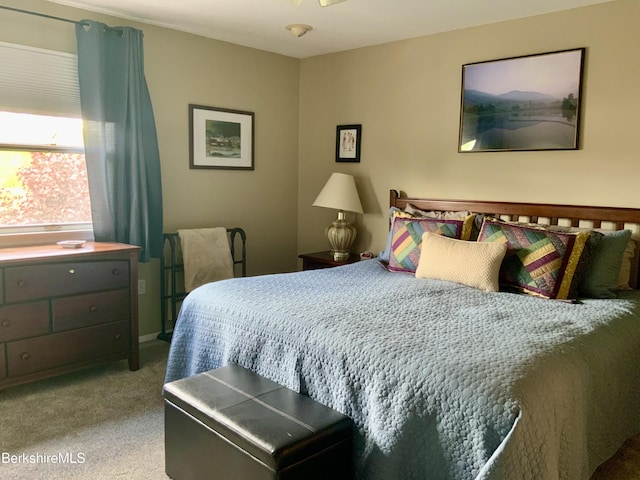 9 Rolling Hls Unit 5, Lenox, MA 01240 - view of carpeted bedroom