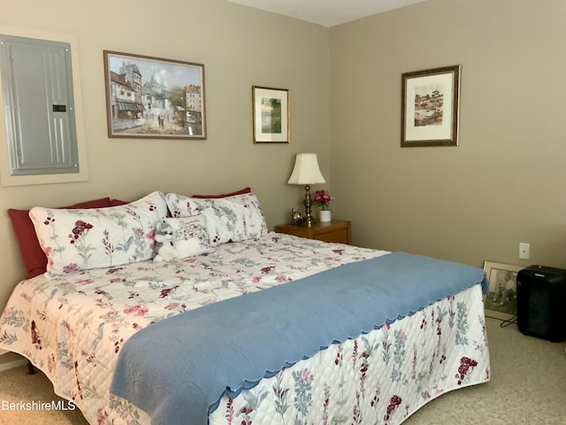 9 Rolling Hls Unit 5, Lenox, MA 01240 - carpeted bedroom featuring electric panel