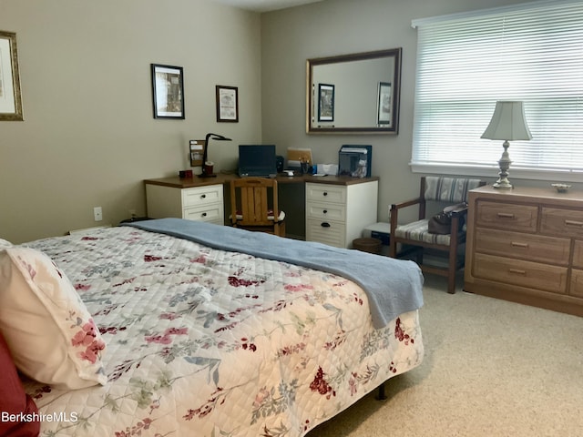 9 Rolling Hls Unit 5, Lenox, MA 01240 - bedroom with carpet flooring